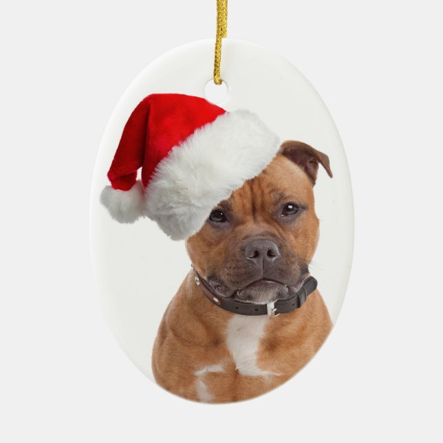 Enfeites de natal de Staffie do papai noel (Frente)