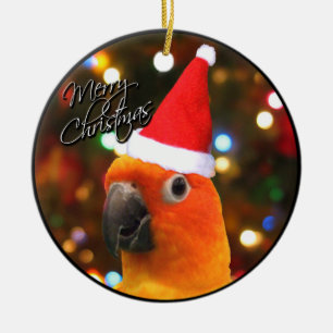 Enfeites de natal de Sun Conure do papai noel