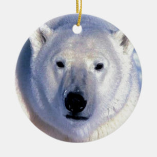 Enfeites de natal de Urso Polar
