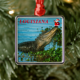 Enfeites de natal de Vacinação da Louisiana