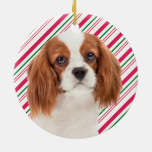 Enfeites de natal descuidados do Spaniel de rei