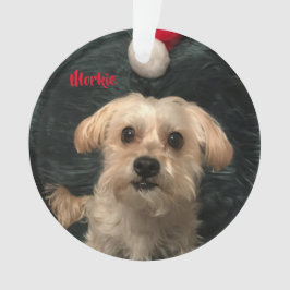 Enfeites de natal do acrílico de Morkie
