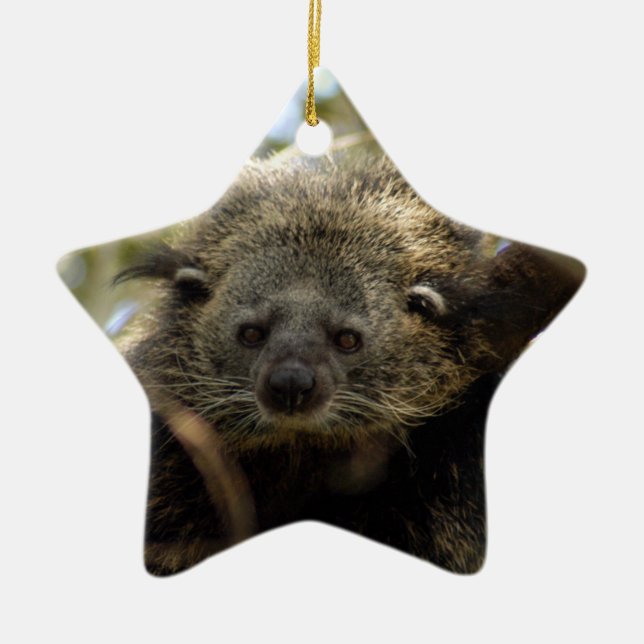 Enfeites de natal do Bearcat (Frente)
