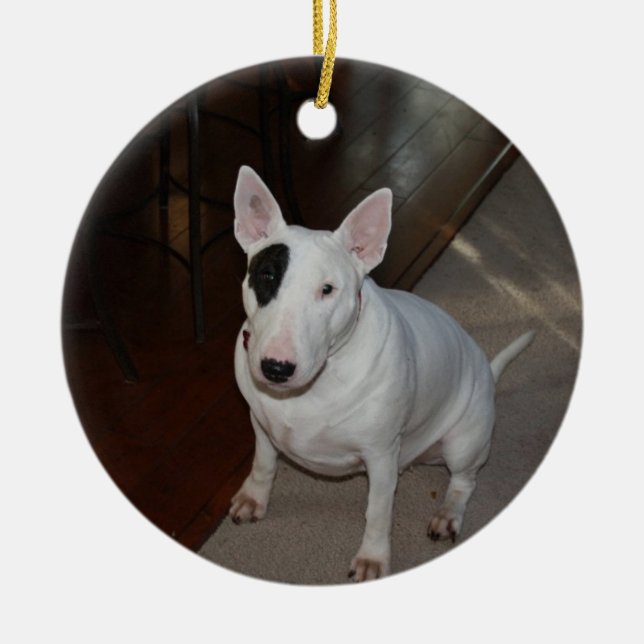 Enfeites de natal do cão da margarida (Frente)