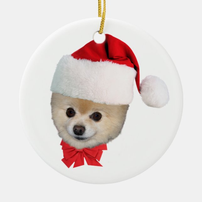 Enfeites de natal do cão de Pomeranian (Frente)