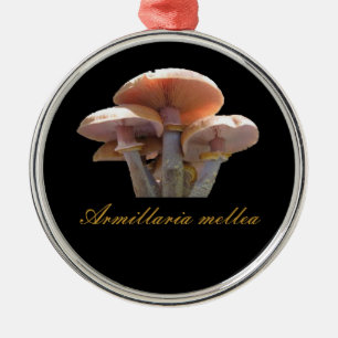 Enfeites de natal do cogumelo de mel