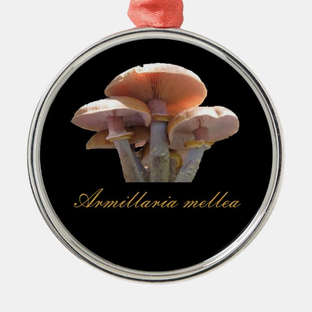 Enfeites de natal do cogumelo de mel (Frente)