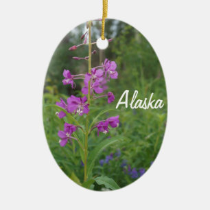 Enfeites de natal do Fireweed de Alaska
