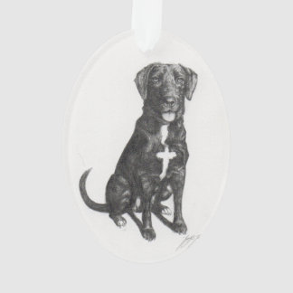 Enfeites de natal do laboratório