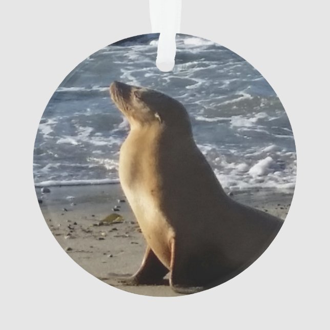 Enfeites de natal do leão de mar (Verso)