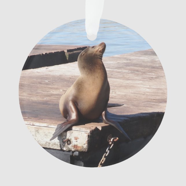 Enfeites de natal do Leão do Mar de São Francisco  (Frente)