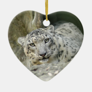 Enfeites de natal do leopardo de neve