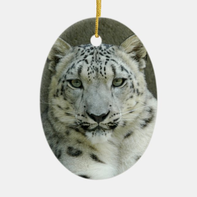 Enfeites de natal do leopardo de neve (Frente)