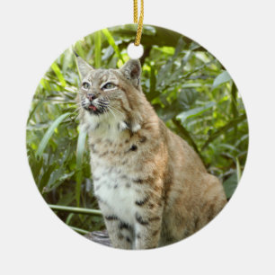 Enfeites de natal do lince