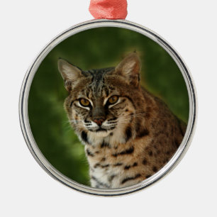 Enfeites de natal do lince