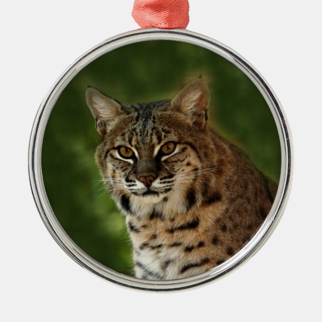 Enfeites de natal do lince (Frente)