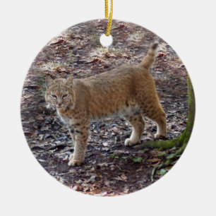 Enfeites de natal do lince