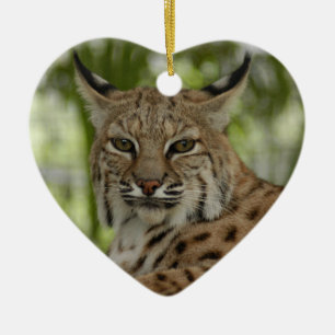 Enfeites de natal do lince