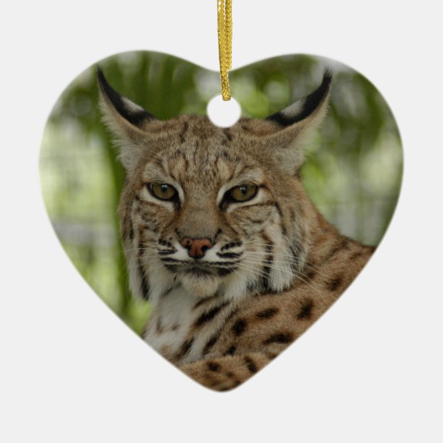 Enfeites de natal do lince (Frente)