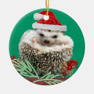 Enfeites de natal do ouriço