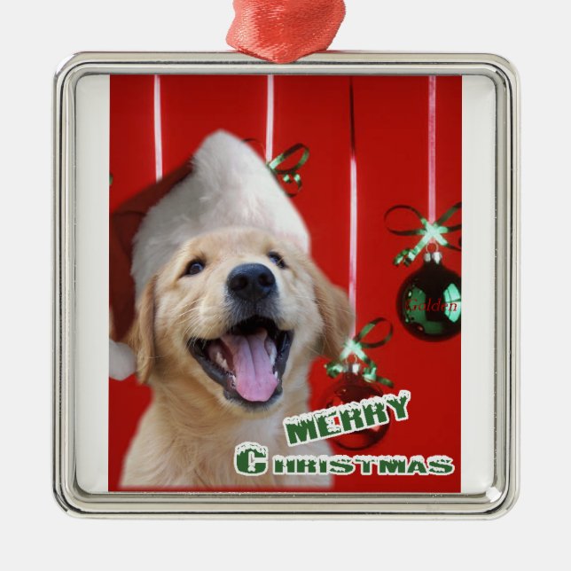 Enfeites de natal do ouro Retriever (Frente)