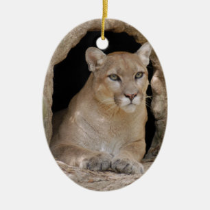 Enfeites de natal do puma