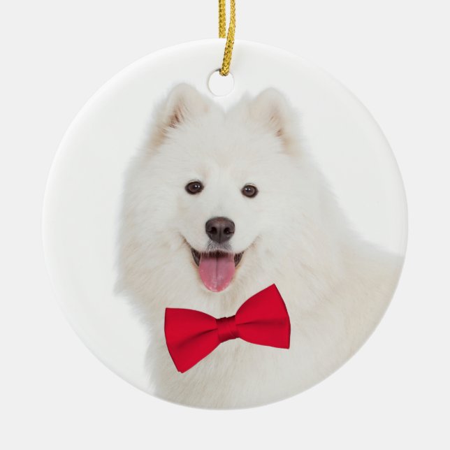 Enfeites de natal do Samoyed (Frente)