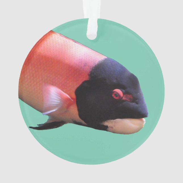 Enfeites de natal do Sheepshead (Verso)