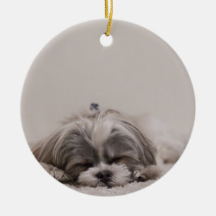 Enfeites de natal do tzu do sono Shih, cão do son