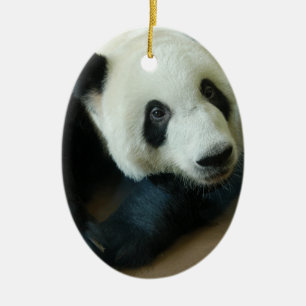 Enfeites de natal do urso de panda