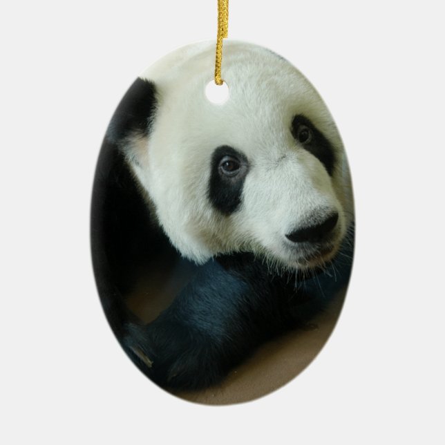 Enfeites de natal do urso de panda (Frente)