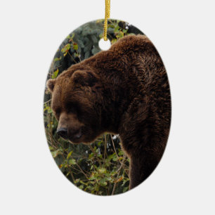 Enfeites de natal do urso de urso