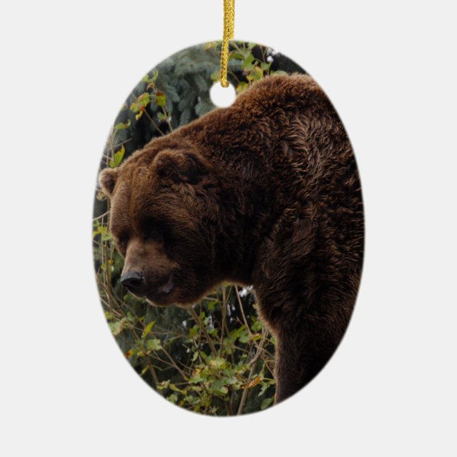 Enfeites de natal do urso de urso (Frente)