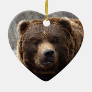 Enfeites de natal do urso de urso