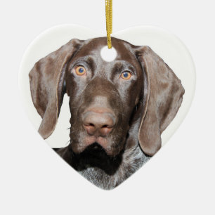 Enfeites de natal Grizzly brilhante