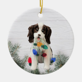 Enfeites de natal Inglês Springer Spaniel