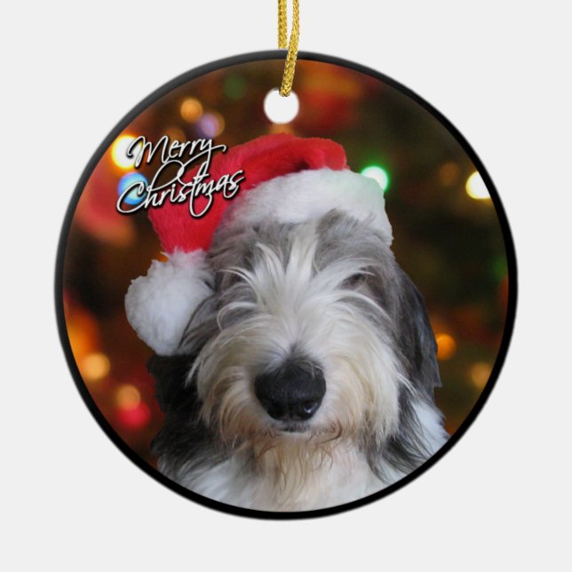 Enfeites de natal ingleses velhos do Sheepdog do (Frente)