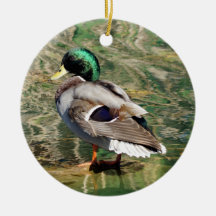 Enfeites de natal Mallard Duck