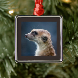 Enfeites de natal Mercurial Meerkat