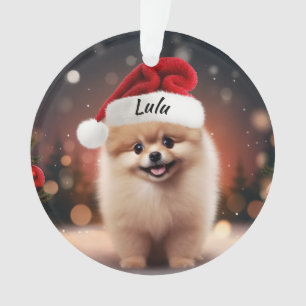 Enfeites de natal Personalizado da Pomerânia