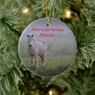 Enfeites de natal personalizados do amigo do