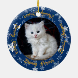 Enfeites de natal Pet de Fotografia agora e depois