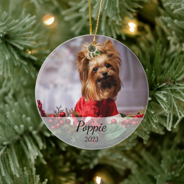 Enfeites de natal Pet Personalizado (Árvore)