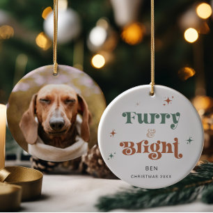 Enfeites de natal Pet Photo Dog Furry & Bright