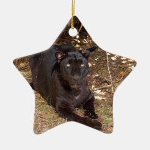 Enfeites de natal pretos do leopardo