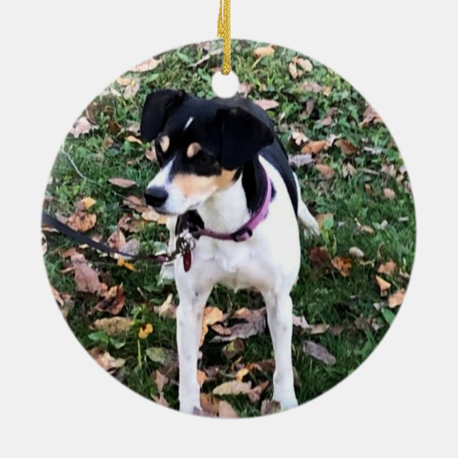 Enfeites de natal RAT TERRIER DOG (Traseira)