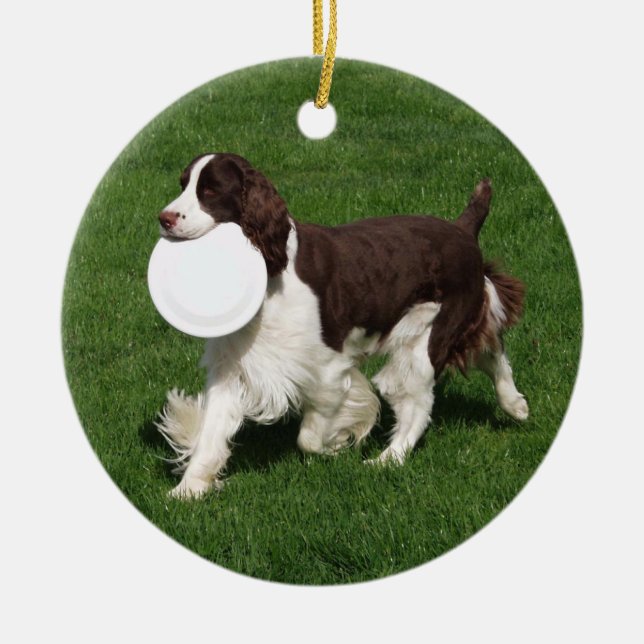 Enfeites de natal Springer Spaniel (Frente)
