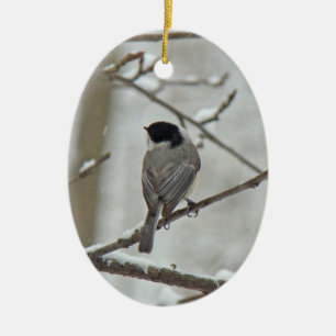 Enfeites de natal tampados preto do Chickadee