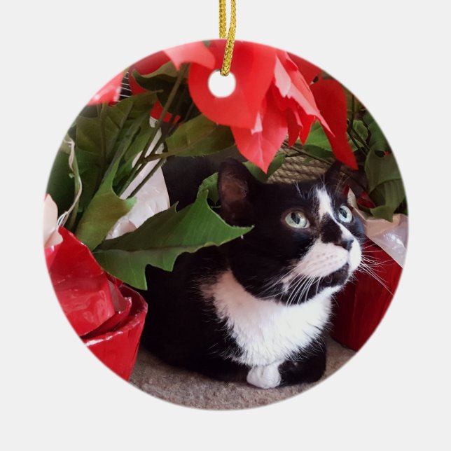 Enfeites de natal Tuxedo Cat (Frente)