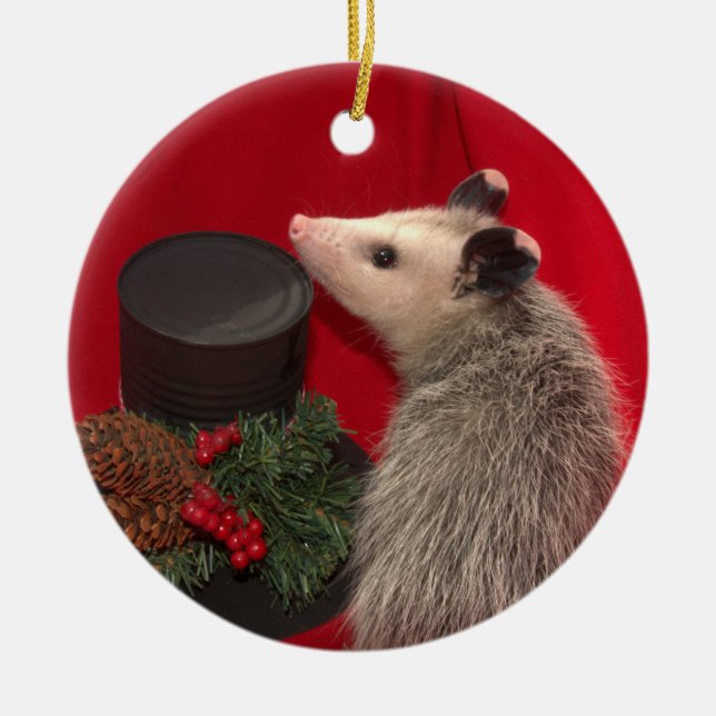 Enfeites de natal. Um dos tipos! (Frente)